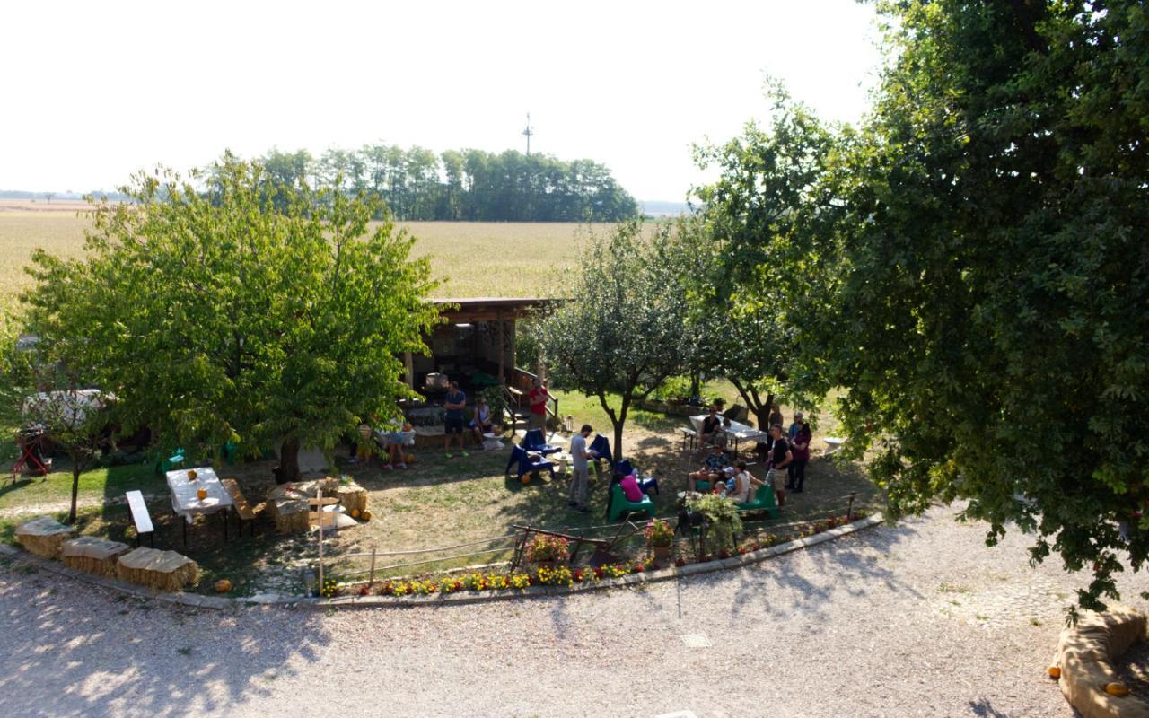 Bed and Breakfast La Selce Farmhouse Bagnario Arsa Zewnętrze zdjęcie